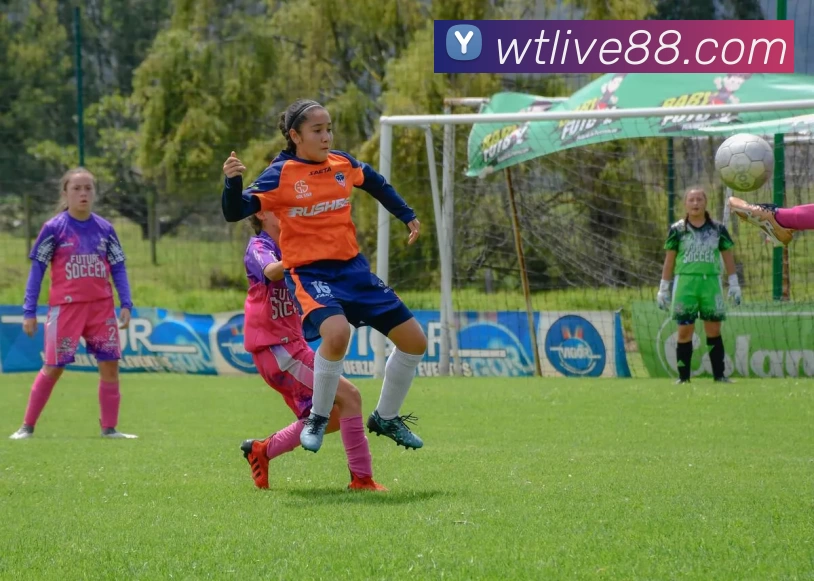 万泰娱乐官网APP 高清赛事图